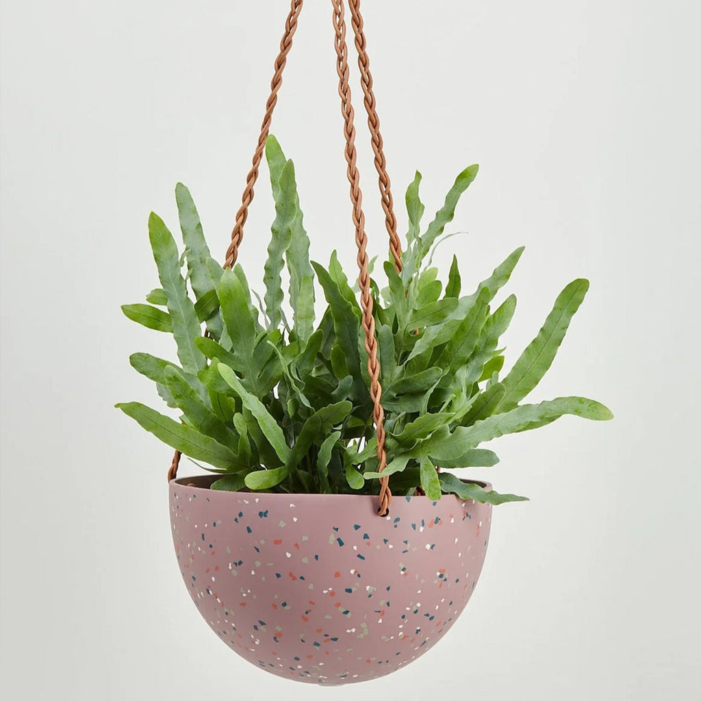 Dome Hanging Planter - Musk Terrazzo - House No.23